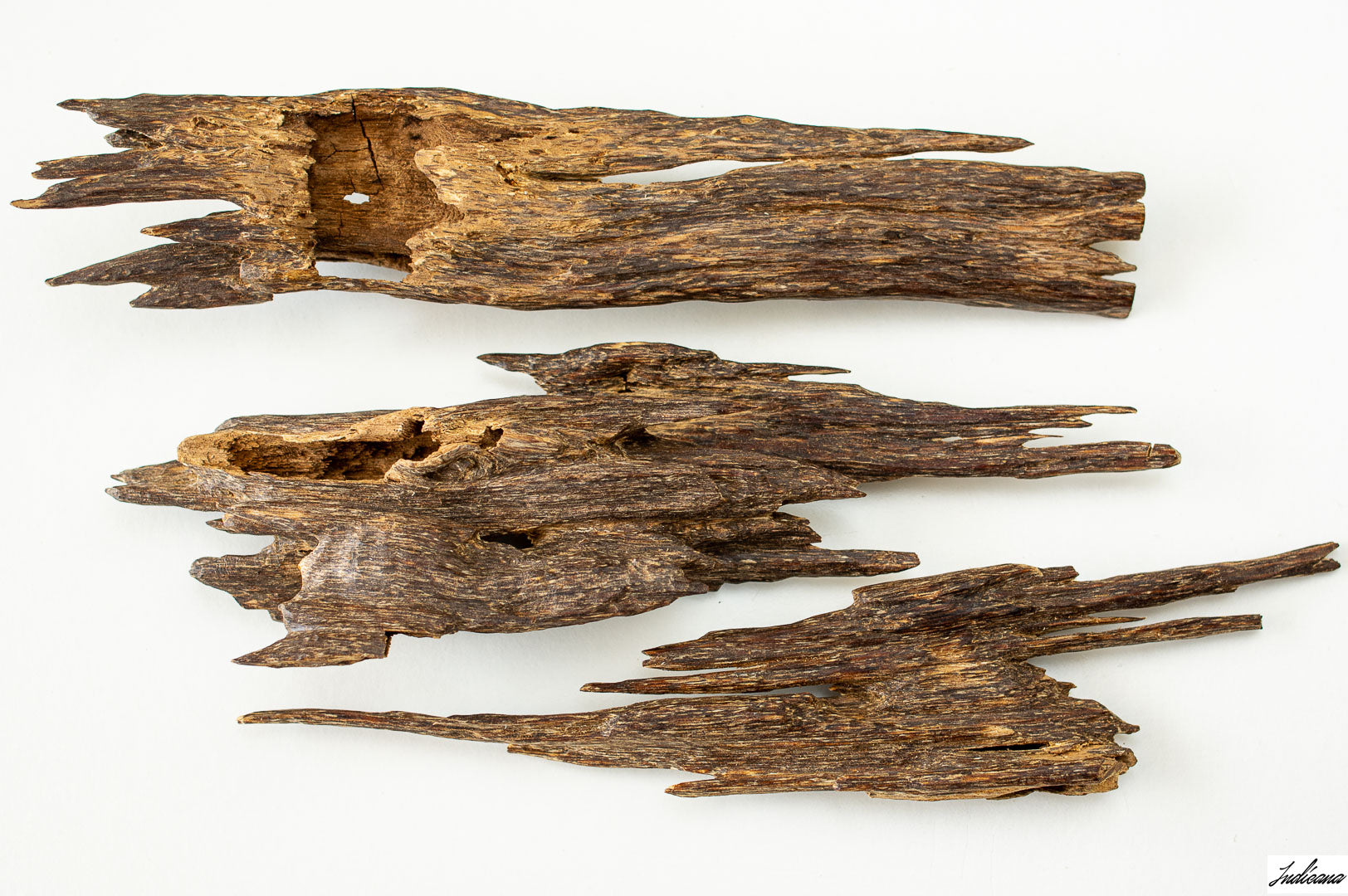 Rare Oud - Most Coveted Highest Quality Oud From India