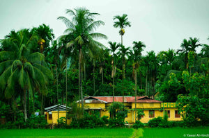 Assam Village - Land of Agarwood
