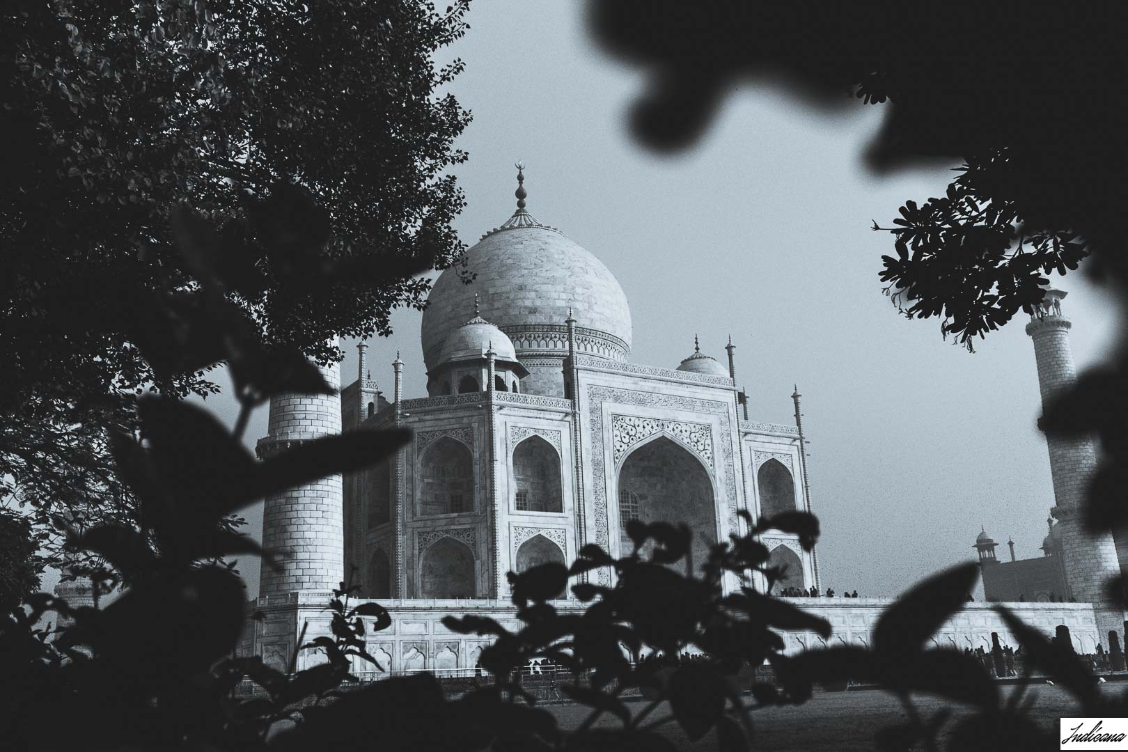 Taj Mahal for Indicana Oud Banner Photo