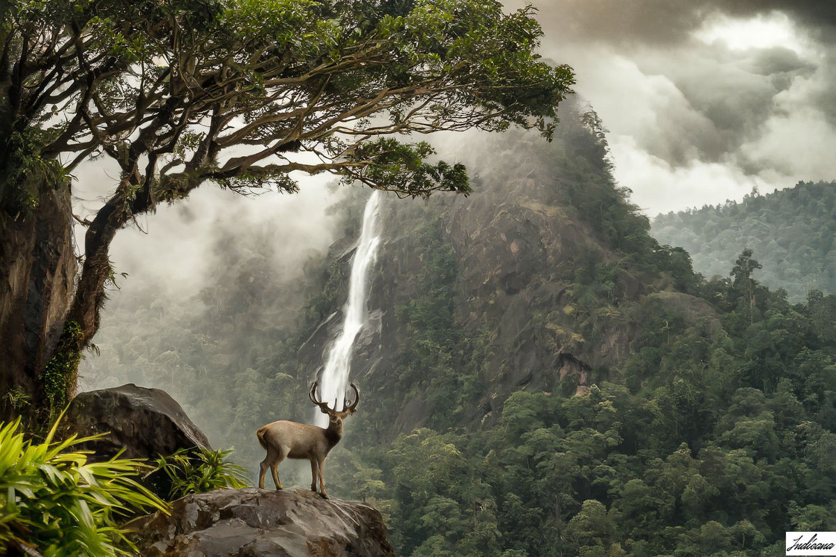 Aloeswood Agarwood of Legend - Indicana Oud