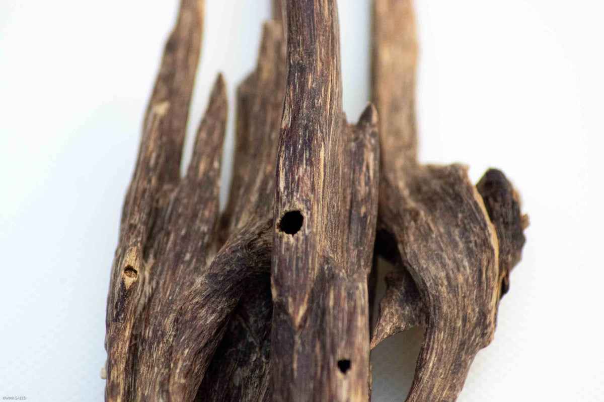 Price Revision of Oud Wood Collections Starting 23-Dec-2017