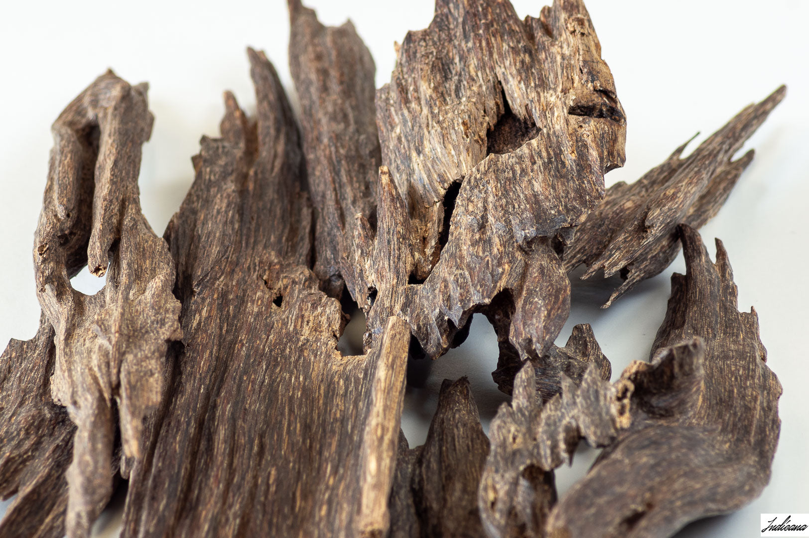 Buy Online Agarwood Chips from Assam - India