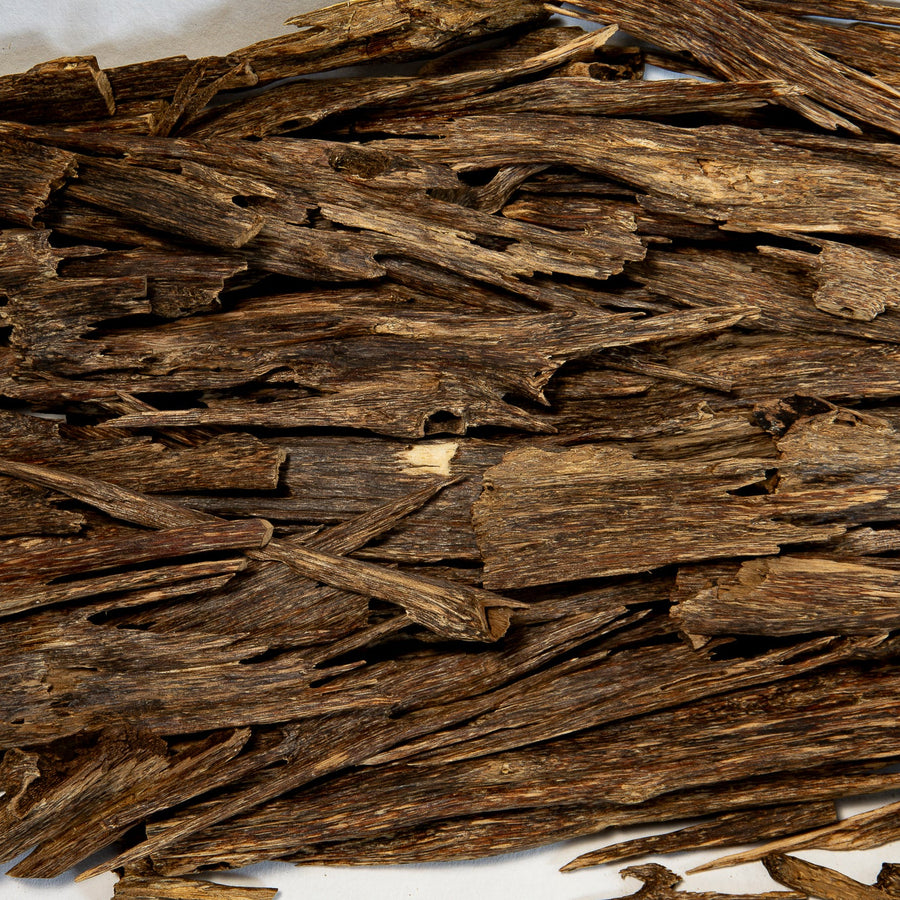 A hand holding a piece of Agaru Sanctum Wild Oud with a blurred pile of similar brown pieces in the background.