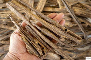 Naga Oud Wood Large - خشب العود